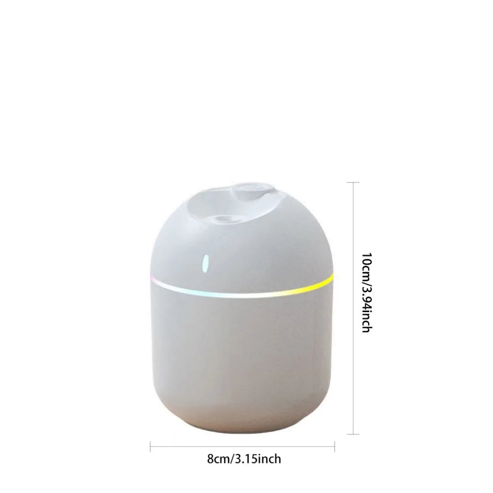 270ml Cool Mist Humidifier & Aroma Diffuser with LED Night Light